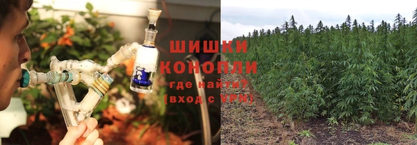 каннабис Белокуриха