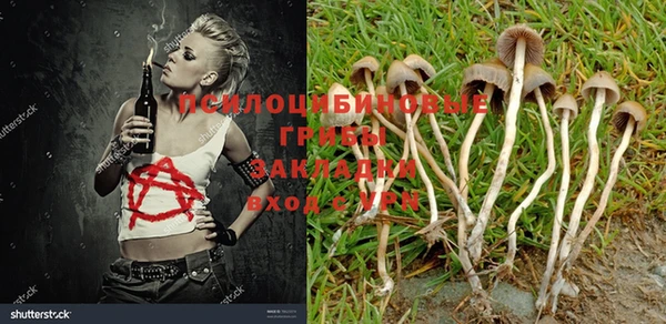 каннабис Белокуриха