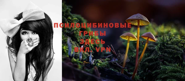 прущие крисы Богородицк